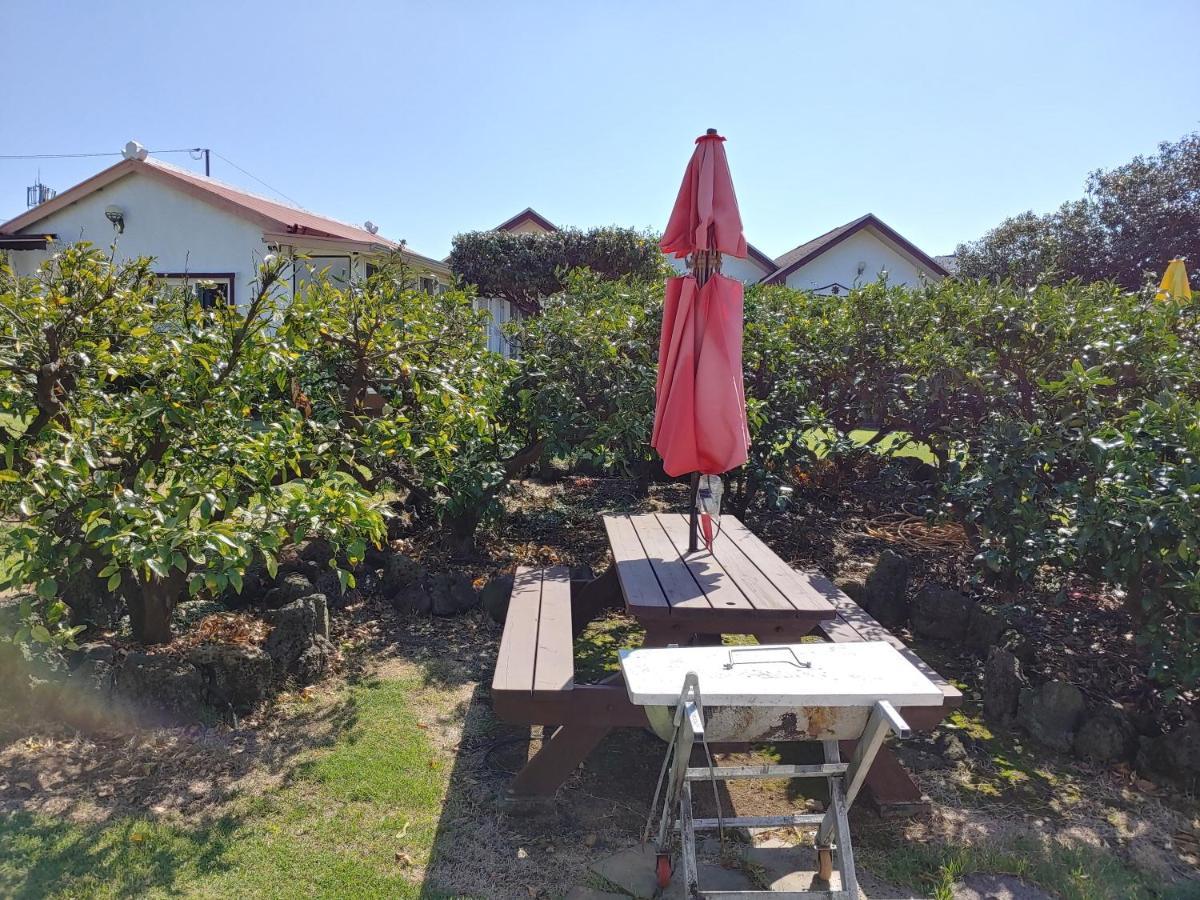 Gyulhouse Pension Seogwipo Exterior photo